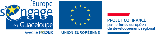 Logo fonds europeen guadeloupe feder projetcofinance